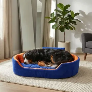Bolster Orthopedic Dog Bed, dog bed, premium dog bed, orthopedic dog bed, soft dog bed, pet bed for dogs, comfortable dog bed, washable dog bed, dog bed with cushion, premium orthopedic dog bed for large dogs, soft and comfortable dog bed with cushion, durable dog bed with PU foam support, luxury pet bed for small and medium dogs, breathable dog bed for summer and winter, stylish modern dog bed for home, lightweight dog bed easy to carry, dog bed with bone shape pillow, buy dog bed online India, best dog bed for home use, affordable premium dog bed, high quality pet bed India, dog bed under budget, cozy dog bed, luxury pet comfort bed, soft plush dog bed, designer dog bed, pet sleeping bed, dog sofa bed, dog lounger bed, pet sofa bed, round dog bed, donut dog bed, calming dog bed, anti anxiety dog bed, raised edge dog bed, bolster dog bed, dog bed with side support, dog bed with high walls, puppy bed, small dog bed, medium dog bed, large dog bed, extra large dog bed, indoor dog bed, home pet bed, dog sleeping cushion, thick padded dog bed, fluffy dog bed, soft foam dog bed, PU foam dog bed, fiber filled dog bed, eco friendly dog bed, skin friendly dog bed, hypoallergenic dog bed, non toxic pet bed, durable pet bedding, long lasting dog bed, tear resistant dog bed, chew resistant dog bed, easy to clean dog bed, machine washable pet bed, removable cover dog bed, portable dog bed, travel dog bed, foldable dog bed, lightweight pet bed, luxury dog sofa, premium pet mattress, designer pet furniture, modern pet bed, aesthetic dog bed, comfortable pet mattress, pet relaxation bed, cozy pet nest, warm dog bed for winter, cool breathable dog bed for summer, all season dog bed, anti slip base dog bed, waterproof dog bed, indoor luxury pet bed, dog bed for crate, dog bed for living room, pet accessories dog bed, best selling dog bed, trending pet products, affordable pet bedding India, online pet supplies India
