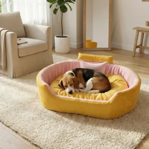 Bolster Orthopedic Dog Bed, dog bed, premium dog bed, orthopedic dog bed, soft dog bed, pet bed for dogs, comfortable dog bed, washable dog bed, dog bed with cushion, premium orthopedic dog bed for large dogs, soft and comfortable dog bed with cushion, durable dog bed with PU foam support, luxury pet bed for small and medium dogs, breathable dog bed for summer and winter, stylish modern dog bed for home, lightweight dog bed easy to carry, dog bed with bone shape pillow, buy dog bed online India, best dog bed for home use, affordable premium dog bed, high quality pet bed India, dog bed under budget, cozy dog bed, luxury pet comfort bed, soft plush dog bed, designer dog bed, pet sleeping bed, dog sofa bed, dog lounger bed, pet sofa bed, round dog bed, donut dog bed, calming dog bed, anti anxiety dog bed, raised edge dog bed, bolster dog bed, dog bed with side support, dog bed with high walls, puppy bed, small dog bed, medium dog bed, large dog bed, extra large dog bed, indoor dog bed, home pet bed, dog sleeping cushion, thick padded dog bed, fluffy dog bed, soft foam dog bed, PU foam dog bed, fiber filled dog bed, eco friendly dog bed, skin friendly dog bed, hypoallergenic dog bed, non toxic pet bed, durable pet bedding, long lasting dog bed, tear resistant dog bed, chew resistant dog bed, easy to clean dog bed, machine washable pet bed, removable cover dog bed, portable dog bed, travel dog bed, foldable dog bed, lightweight pet bed, luxury dog sofa, premium pet mattress, designer pet furniture, modern pet bed, aesthetic dog bed, comfortable pet mattress, pet relaxation bed, cozy pet nest, warm dog bed for winter, cool breathable dog bed for summer, all season dog bed, anti slip base dog bed, waterproof dog bed, indoor luxury pet bed, dog bed for crate, dog bed for living room, pet accessories dog bed, best selling dog bed, trending pet products, affordable pet bedding India, online pet supplies India