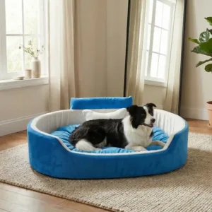 Bolster Orthopedic Dog Bed, dog bed, premium dog bed, orthopedic dog bed, soft dog bed, pet bed for dogs, comfortable dog bed, washable dog bed, dog bed with cushion, premium orthopedic dog bed for large dogs, soft and comfortable dog bed with cushion, durable dog bed with PU foam support, luxury pet bed for small and medium dogs, breathable dog bed for summer and winter, stylish modern dog bed for home, lightweight dog bed easy to carry, dog bed with bone shape pillow, buy dog bed online India, best dog bed for home use, affordable premium dog bed, high quality pet bed India, dog bed under budget, cozy dog bed, luxury pet comfort bed, soft plush dog bed, designer dog bed, pet sleeping bed, dog sofa bed, dog lounger bed, pet sofa bed, round dog bed, donut dog bed, calming dog bed, anti anxiety dog bed, raised edge dog bed, bolster dog bed, dog bed with side support, dog bed with high walls, puppy bed, small dog bed, medium dog bed, large dog bed, extra large dog bed, indoor dog bed, home pet bed, dog sleeping cushion, thick padded dog bed, fluffy dog bed, soft foam dog bed, PU foam dog bed, fiber filled dog bed, eco friendly dog bed, skin friendly dog bed, hypoallergenic dog bed, non toxic pet bed, durable pet bedding, long lasting dog bed, tear resistant dog bed, chew resistant dog bed, easy to clean dog bed, machine washable pet bed, removable cover dog bed, portable dog bed, travel dog bed, foldable dog bed, lightweight pet bed, luxury dog sofa, premium pet mattress, designer pet furniture, modern pet bed, aesthetic dog bed, comfortable pet mattress, pet relaxation bed, cozy pet nest, warm dog bed for winter, cool breathable dog bed for summer, all season dog bed, anti slip base dog bed, waterproof dog bed, indoor luxury pet bed, dog bed for crate, dog bed for living room, pet accessories dog bed, best selling dog bed, trending pet products, affordable pet bedding India, online pet supplies India