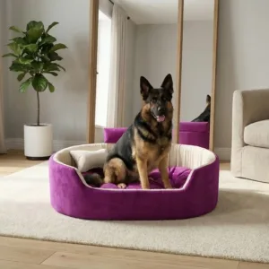 Bolster Orthopedic Dog Bed, dog bed, premium dog bed, orthopedic dog bed, soft dog bed, pet bed for dogs, comfortable dog bed, washable dog bed, dog bed with cushion, premium orthopedic dog bed for large dogs, soft and comfortable dog bed with cushion, durable dog bed with PU foam support, luxury pet bed for small and medium dogs, breathable dog bed for summer and winter, stylish modern dog bed for home, lightweight dog bed easy to carry, dog bed with bone shape pillow, buy dog bed online India, best dog bed for home use, affordable premium dog bed, high quality pet bed India, dog bed under budget, cozy dog bed, luxury pet comfort bed, soft plush dog bed, designer dog bed, pet sleeping bed, dog sofa bed, dog lounger bed, pet sofa bed, round dog bed, donut dog bed, calming dog bed, anti anxiety dog bed, raised edge dog bed, bolster dog bed, dog bed with side support, dog bed with high walls, puppy bed, small dog bed, medium dog bed, large dog bed, extra large dog bed, indoor dog bed, home pet bed, dog sleeping cushion, thick padded dog bed, fluffy dog bed, soft foam dog bed, PU foam dog bed, fiber filled dog bed, eco friendly dog bed, skin friendly dog bed, hypoallergenic dog bed, non toxic pet bed, durable pet bedding, long lasting dog bed, tear resistant dog bed, chew resistant dog bed, easy to clean dog bed, machine washable pet bed, removable cover dog bed, portable dog bed, travel dog bed, foldable dog bed, lightweight pet bed, luxury dog sofa, premium pet mattress, designer pet furniture, modern pet bed, aesthetic dog bed, comfortable pet mattress, pet relaxation bed, cozy pet nest, warm dog bed for winter, cool breathable dog bed for summer, all season dog bed, anti slip base dog bed, waterproof dog bed, indoor luxury pet bed, dog bed for crate, dog bed for living room, pet accessories dog bed, best selling dog bed, trending pet products, affordable pet bedding India, online pet supplies India