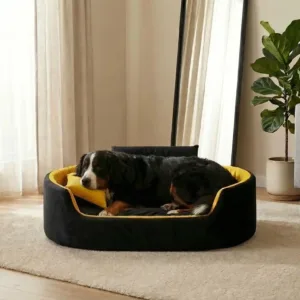 Bolster Orthopedic Dog Bed, dog bed, premium dog bed, orthopedic dog bed, soft dog bed, pet bed for dogs, comfortable dog bed, washable dog bed, dog bed with cushion, premium orthopedic dog bed for large dogs, soft and comfortable dog bed with cushion, durable dog bed with PU foam support, luxury pet bed for small and medium dogs, breathable dog bed for summer and winter, stylish modern dog bed for home, lightweight dog bed easy to carry, dog bed with bone shape pillow, buy dog bed online India, best dog bed for home use, affordable premium dog bed, high quality pet bed India, dog bed under budget, cozy dog bed, luxury pet comfort bed, soft plush dog bed, designer dog bed, pet sleeping bed, dog sofa bed, dog lounger bed, pet sofa bed, round dog bed, donut dog bed, calming dog bed, anti anxiety dog bed, raised edge dog bed, bolster dog bed, dog bed with side support, dog bed with high walls, puppy bed, small dog bed, medium dog bed, large dog bed, extra large dog bed, indoor dog bed, home pet bed, dog sleeping cushion, thick padded dog bed, fluffy dog bed, soft foam dog bed, PU foam dog bed, fiber filled dog bed, eco friendly dog bed, skin friendly dog bed, hypoallergenic dog bed, non toxic pet bed, durable pet bedding, long lasting dog bed, tear resistant dog bed, chew resistant dog bed, easy to clean dog bed, machine washable pet bed, removable cover dog bed, portable dog bed, travel dog bed, foldable dog bed, lightweight pet bed, luxury dog sofa, premium pet mattress, designer pet furniture, modern pet bed, aesthetic dog bed, comfortable pet mattress, pet relaxation bed, cozy pet nest, warm dog bed for winter, cool breathable dog bed for summer, all season dog bed, anti slip base dog bed, waterproof dog bed, indoor luxury pet bed, dog bed for crate, dog bed for living room, pet accessories dog bed, best selling dog bed, trending pet products, affordable pet bedding India, online pet supplies India