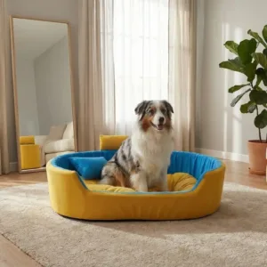 Bolster Orthopedic Dog Bed, dog bed, premium dog bed, orthopedic dog bed, soft dog bed, pet bed for dogs, comfortable dog bed, washable dog bed, dog bed with cushion, premium orthopedic dog bed for large dogs, soft and comfortable dog bed with cushion, durable dog bed with PU foam support, luxury pet bed for small and medium dogs, breathable dog bed for summer and winter, stylish modern dog bed for home, lightweight dog bed easy to carry, dog bed with bone shape pillow, buy dog bed online India, best dog bed for home use, affordable premium dog bed, high quality pet bed India, dog bed under budget, cozy dog bed, luxury pet comfort bed, soft plush dog bed, designer dog bed, pet sleeping bed, dog sofa bed, dog lounger bed, pet sofa bed, round dog bed, donut dog bed, calming dog bed, anti anxiety dog bed, raised edge dog bed, bolster dog bed, dog bed with side support, dog bed with high walls, puppy bed, small dog bed, medium dog bed, large dog bed, extra large dog bed, indoor dog bed, home pet bed, dog sleeping cushion, thick padded dog bed, fluffy dog bed, soft foam dog bed, PU foam dog bed, fiber filled dog bed, eco friendly dog bed, skin friendly dog bed, hypoallergenic dog bed, non toxic pet bed, durable pet bedding, long lasting dog bed, tear resistant dog bed, chew resistant dog bed, easy to clean dog bed, machine washable pet bed, removable cover dog bed, portable dog bed, travel dog bed, foldable dog bed, lightweight pet bed, luxury dog sofa, premium pet mattress, designer pet furniture, modern pet bed, aesthetic dog bed, comfortable pet mattress, pet relaxation bed, cozy pet nest, warm dog bed for winter, cool breathable dog bed for summer, all season dog bed, anti slip base dog bed, waterproof dog bed, indoor luxury pet bed, dog bed for crate, dog bed for living room, pet accessories dog bed, best selling dog bed, trending pet products, affordable pet bedding India, online pet supplies India