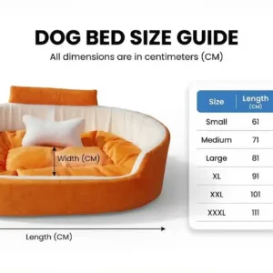Bolster Orthopedic Dog Bed, dog bed, premium dog bed, orthopedic dog bed, soft dog bed, pet bed for dogs, comfortable dog bed, washable dog bed, dog bed with cushion, premium orthopedic dog bed for large dogs, soft and comfortable dog bed with cushion, durable dog bed with PU foam support, luxury pet bed for small and medium dogs, breathable dog bed for summer and winter, stylish modern dog bed for home, lightweight dog bed easy to carry, dog bed with bone shape pillow, buy dog bed online India, best dog bed for home use, affordable premium dog bed, high quality pet bed India, dog bed under budget, cozy dog bed, luxury pet comfort bed, soft plush dog bed, designer dog bed, pet sleeping bed, dog sofa bed, dog lounger bed, pet sofa bed, round dog bed, donut dog bed, calming dog bed, anti anxiety dog bed, raised edge dog bed, bolster dog bed, dog bed with side support, dog bed with high walls, puppy bed, small dog bed, medium dog bed, large dog bed, extra large dog bed, indoor dog bed, home pet bed, dog sleeping cushion, thick padded dog bed, fluffy dog bed, soft foam dog bed, PU foam dog bed, fiber filled dog bed, eco friendly dog bed, skin friendly dog bed, hypoallergenic dog bed, non toxic pet bed, durable pet bedding, long lasting dog bed, tear resistant dog bed, chew resistant dog bed, easy to clean dog bed, machine washable pet bed, removable cover dog bed, portable dog bed, travel dog bed, foldable dog bed, lightweight pet bed, luxury dog sofa, premium pet mattress, designer pet furniture, modern pet bed, aesthetic dog bed, comfortable pet mattress, pet relaxation bed, cozy pet nest, warm dog bed for winter, cool breathable dog bed for summer, all season dog bed, anti slip base dog bed, waterproof dog bed, indoor luxury pet bed, dog bed for crate, dog bed for living room, pet accessories dog bed, best selling dog bed, trending pet products, affordable pet bedding India, online pet supplies India