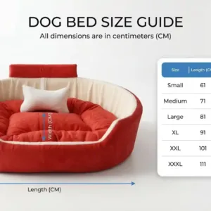 Bolster Orthopedic Dog Bed, dog bed, premium dog bed, orthopedic dog bed, soft dog bed, pet bed for dogs, comfortable dog bed, washable dog bed, dog bed with cushion, premium orthopedic dog bed for large dogs, soft and comfortable dog bed with cushion, durable dog bed with PU foam support, luxury pet bed for small and medium dogs, breathable dog bed for summer and winter, stylish modern dog bed for home, lightweight dog bed easy to carry, dog bed with bone shape pillow, buy dog bed online India, best dog bed for home use, affordable premium dog bed, high quality pet bed India, dog bed under budget, cozy dog bed, luxury pet comfort bed, soft plush dog bed, designer dog bed, pet sleeping bed, dog sofa bed, dog lounger bed, pet sofa bed, round dog bed, donut dog bed, calming dog bed, anti anxiety dog bed, raised edge dog bed, bolster dog bed, dog bed with side support, dog bed with high walls, puppy bed, small dog bed, medium dog bed, large dog bed, extra large dog bed, indoor dog bed, home pet bed, dog sleeping cushion, thick padded dog bed, fluffy dog bed, soft foam dog bed, PU foam dog bed, fiber filled dog bed, eco friendly dog bed, skin friendly dog bed, hypoallergenic dog bed, non toxic pet bed, durable pet bedding, long lasting dog bed, tear resistant dog bed, chew resistant dog bed, easy to clean dog bed, machine washable pet bed, removable cover dog bed, portable dog bed, travel dog bed, foldable dog bed, lightweight pet bed, luxury dog sofa, premium pet mattress, designer pet furniture, modern pet bed, aesthetic dog bed, comfortable pet mattress, pet relaxation bed, cozy pet nest, warm dog bed for winter, cool breathable dog bed for summer, all season dog bed, anti slip base dog bed, waterproof dog bed, indoor luxury pet bed, dog bed for crate, dog bed for living room, pet accessories dog bed, best selling dog bed, trending pet products, affordable pet bedding India, online pet supplies India