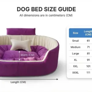 Bolster Orthopedic Dog Bed, dog bed, premium dog bed, orthopedic dog bed, soft dog bed, pet bed for dogs, comfortable dog bed, washable dog bed, dog bed with cushion, premium orthopedic dog bed for large dogs, soft and comfortable dog bed with cushion, durable dog bed with PU foam support, luxury pet bed for small and medium dogs, breathable dog bed for summer and winter, stylish modern dog bed for home, lightweight dog bed easy to carry, dog bed with bone shape pillow, buy dog bed online India, best dog bed for home use, affordable premium dog bed, high quality pet bed India, dog bed under budget, cozy dog bed, luxury pet comfort bed, soft plush dog bed, designer dog bed, pet sleeping bed, dog sofa bed, dog lounger bed, pet sofa bed, round dog bed, donut dog bed, calming dog bed, anti anxiety dog bed, raised edge dog bed, bolster dog bed, dog bed with side support, dog bed with high walls, puppy bed, small dog bed, medium dog bed, large dog bed, extra large dog bed, indoor dog bed, home pet bed, dog sleeping cushion, thick padded dog bed, fluffy dog bed, soft foam dog bed, PU foam dog bed, fiber filled dog bed, eco friendly dog bed, skin friendly dog bed, hypoallergenic dog bed, non toxic pet bed, durable pet bedding, long lasting dog bed, tear resistant dog bed, chew resistant dog bed, easy to clean dog bed, machine washable pet bed, removable cover dog bed, portable dog bed, travel dog bed, foldable dog bed, lightweight pet bed, luxury dog sofa, premium pet mattress, designer pet furniture, modern pet bed, aesthetic dog bed, comfortable pet mattress, pet relaxation bed, cozy pet nest, warm dog bed for winter, cool breathable dog bed for summer, all season dog bed, anti slip base dog bed, waterproof dog bed, indoor luxury pet bed, dog bed for crate, dog bed for living room, pet accessories dog bed, best selling dog bed, trending pet products, affordable pet bedding India, online pet supplies India