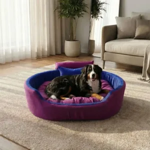 Bolster Orthopedic Dog Bed, dog bed, premium dog bed, orthopedic dog bed, soft dog bed, pet bed for dogs, comfortable dog bed, washable dog bed, dog bed with cushion, premium orthopedic dog bed for large dogs, soft and comfortable dog bed with cushion, durable dog bed with PU foam support, luxury pet bed for small and medium dogs, breathable dog bed for summer and winter, stylish modern dog bed for home, lightweight dog bed easy to carry, dog bed with bone shape pillow, buy dog bed online India, best dog bed for home use, affordable premium dog bed, high quality pet bed India, dog bed under budget, cozy dog bed, luxury pet comfort bed, soft plush dog bed, designer dog bed, pet sleeping bed, dog sofa bed, dog lounger bed, pet sofa bed, round dog bed, donut dog bed, calming dog bed, anti anxiety dog bed, raised edge dog bed, bolster dog bed, dog bed with side support, dog bed with high walls, puppy bed, small dog bed, medium dog bed, large dog bed, extra large dog bed, indoor dog bed, home pet bed, dog sleeping cushion, thick padded dog bed, fluffy dog bed, soft foam dog bed, PU foam dog bed, fiber filled dog bed, eco friendly dog bed, skin friendly dog bed, hypoallergenic dog bed, non toxic pet bed, durable pet bedding, long lasting dog bed, tear resistant dog bed, chew resistant dog bed, easy to clean dog bed, machine washable pet bed, removable cover dog bed, portable dog bed, travel dog bed, foldable dog bed, lightweight pet bed, luxury dog sofa, premium pet mattress, designer pet furniture, modern pet bed, aesthetic dog bed, comfortable pet mattress, pet relaxation bed, cozy pet nest, warm dog bed for winter, cool breathable dog bed for summer, all season dog bed, anti slip base dog bed, waterproof dog bed, indoor luxury pet bed, dog bed for crate, dog bed for living room, pet accessories dog bed, best selling dog bed, trending pet products, affordable pet bedding India, online pet supplies India