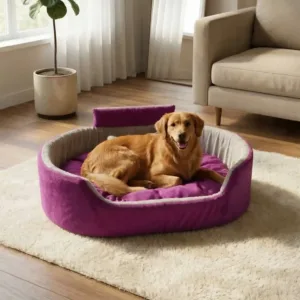 Bolster Orthopedic Dog Bed, dog bed, premium dog bed, orthopedic dog bed, soft dog bed, pet bed for dogs, comfortable dog bed, washable dog bed, dog bed with cushion, premium orthopedic dog bed for large dogs, soft and comfortable dog bed with cushion, durable dog bed with PU foam support, luxury pet bed for small and medium dogs, breathable dog bed for summer and winter, stylish modern dog bed for home, lightweight dog bed easy to carry, dog bed with bone shape pillow, buy dog bed online India, best dog bed for home use, affordable premium dog bed, high quality pet bed India, dog bed under budget, cozy dog bed, luxury pet comfort bed, soft plush dog bed, designer dog bed, pet sleeping bed, dog sofa bed, dog lounger bed, pet sofa bed, round dog bed, donut dog bed, calming dog bed, anti anxiety dog bed, raised edge dog bed, bolster dog bed, dog bed with side support, dog bed with high walls, puppy bed, small dog bed, medium dog bed, large dog bed, extra large dog bed, indoor dog bed, home pet bed, dog sleeping cushion, thick padded dog bed, fluffy dog bed, soft foam dog bed, PU foam dog bed, fiber filled dog bed, eco friendly dog bed, skin friendly dog bed, hypoallergenic dog bed, non toxic pet bed, durable pet bedding, long lasting dog bed, tear resistant dog bed, chew resistant dog bed, easy to clean dog bed, machine washable pet bed, removable cover dog bed, portable dog bed, travel dog bed, foldable dog bed, lightweight pet bed, luxury dog sofa, premium pet mattress, designer pet furniture, modern pet bed, aesthetic dog bed, comfortable pet mattress, pet relaxation bed, cozy pet nest, warm dog bed for winter, cool breathable dog bed for summer, all season dog bed, anti slip base dog bed, waterproof dog bed, indoor luxury pet bed, dog bed for crate, dog bed for living room, pet accessories dog bed, best selling dog bed, trending pet products, affordable pet bedding India, online pet supplies India