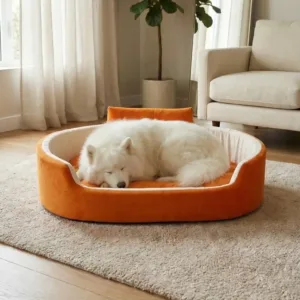 Bolster Orthopedic Dog Bed, dog bed, premium dog bed, orthopedic dog bed, soft dog bed, pet bed for dogs, comfortable dog bed, washable dog bed, dog bed with cushion, premium orthopedic dog bed for large dogs, soft and comfortable dog bed with cushion, durable dog bed with PU foam support, luxury pet bed for small and medium dogs, breathable dog bed for summer and winter, stylish modern dog bed for home, lightweight dog bed easy to carry, dog bed with bone shape pillow, buy dog bed online India, best dog bed for home use, affordable premium dog bed, high quality pet bed India, dog bed under budget, cozy dog bed, luxury pet comfort bed, soft plush dog bed, designer dog bed, pet sleeping bed, dog sofa bed, dog lounger bed, pet sofa bed, round dog bed, donut dog bed, calming dog bed, anti anxiety dog bed, raised edge dog bed, bolster dog bed, dog bed with side support, dog bed with high walls, puppy bed, small dog bed, medium dog bed, large dog bed, extra large dog bed, indoor dog bed, home pet bed, dog sleeping cushion, thick padded dog bed, fluffy dog bed, soft foam dog bed, PU foam dog bed, fiber filled dog bed, eco friendly dog bed, skin friendly dog bed, hypoallergenic dog bed, non toxic pet bed, durable pet bedding, long lasting dog bed, tear resistant dog bed, chew resistant dog bed, easy to clean dog bed, machine washable pet bed, removable cover dog bed, portable dog bed, travel dog bed, foldable dog bed, lightweight pet bed, luxury dog sofa, premium pet mattress, designer pet furniture, modern pet bed, aesthetic dog bed, comfortable pet mattress, pet relaxation bed, cozy pet nest, warm dog bed for winter, cool breathable dog bed for summer, all season dog bed, anti slip base dog bed, waterproof dog bed, indoor luxury pet bed, dog bed for crate, dog bed for living room, pet accessories dog bed, best selling dog bed, trending pet products, affordable pet bedding India, online pet supplies India