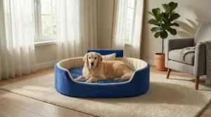 Bolster Orthopedic Dog Bed, dog bed, premium dog bed, orthopedic dog bed, soft dog bed, pet bed for dogs, comfortable dog bed, washable dog bed, dog bed with cushion, premium orthopedic dog bed for large dogs, soft and comfortable dog bed with cushion, durable dog bed with PU foam support, luxury pet bed for small and medium dogs, breathable dog bed for summer and winter, stylish modern dog bed for home, lightweight dog bed easy to carry, dog bed with bone shape pillow, buy dog bed online India, best dog bed for home use, affordable premium dog bed, high quality pet bed India, dog bed under budget, cozy dog bed, luxury pet comfort bed, soft plush dog bed, designer dog bed, pet sleeping bed, dog sofa bed, dog lounger bed, pet sofa bed, round dog bed, donut dog bed, calming dog bed, anti anxiety dog bed, raised edge dog bed, bolster dog bed, dog bed with side support, dog bed with high walls, puppy bed, small dog bed, medium dog bed, large dog bed, extra large dog bed, indoor dog bed, home pet bed, dog sleeping cushion, thick padded dog bed, fluffy dog bed, soft foam dog bed, PU foam dog bed, fiber filled dog bed, eco friendly dog bed, skin friendly dog bed, hypoallergenic dog bed, non toxic pet bed, durable pet bedding, long lasting dog bed, tear resistant dog bed, chew resistant dog bed, easy to clean dog bed, machine washable pet bed, removable cover dog bed, portable dog bed, travel dog bed, foldable dog bed, lightweight pet bed, luxury dog sofa, premium pet mattress, designer pet furniture, modern pet bed, aesthetic dog bed, comfortable pet mattress, pet relaxation bed, cozy pet nest, warm dog bed for winter, cool breathable dog bed for summer, all season dog bed, anti slip base dog bed, waterproof dog bed, indoor luxury pet bed, dog bed for crate, dog bed for living room, pet accessories dog bed, best selling dog bed, trending pet products, affordable pet bedding India, online pet supplies India