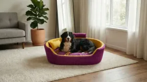 Bolster Orthopedic Dog Bed, dog bed, premium dog bed, orthopedic dog bed, soft dog bed, pet bed for dogs, comfortable dog bed, washable dog bed, dog bed with cushion, premium orthopedic dog bed for large dogs, soft and comfortable dog bed with cushion, durable dog bed with PU foam support, luxury pet bed for small and medium dogs, breathable dog bed for summer and winter, stylish modern dog bed for home, lightweight dog bed easy to carry, dog bed with bone shape pillow, buy dog bed online India, best dog bed for home use, affordable premium dog bed, high quality pet bed India, dog bed under budget, cozy dog bed, luxury pet comfort bed, soft plush dog bed, designer dog bed, pet sleeping bed, dog sofa bed, dog lounger bed, pet sofa bed, round dog bed, donut dog bed, calming dog bed, anti anxiety dog bed, raised edge dog bed, bolster dog bed, dog bed with side support, dog bed with high walls, puppy bed, small dog bed, medium dog bed, large dog bed, extra large dog bed, indoor dog bed, home pet bed, dog sleeping cushion, thick padded dog bed, fluffy dog bed, soft foam dog bed, PU foam dog bed, fiber filled dog bed, eco friendly dog bed, skin friendly dog bed, hypoallergenic dog bed, non toxic pet bed, durable pet bedding, long lasting dog bed, tear resistant dog bed, chew resistant dog bed, easy to clean dog bed, machine washable pet bed, removable cover dog bed, portable dog bed, travel dog bed, foldable dog bed, lightweight pet bed, luxury dog sofa, premium pet mattress, designer pet furniture, modern pet bed, aesthetic dog bed, comfortable pet mattress, pet relaxation bed, cozy pet nest, warm dog bed for winter, cool breathable dog bed for summer, all season dog bed, anti slip base dog bed, waterproof dog bed, indoor luxury pet bed, dog bed for crate, dog bed for living room, pet accessories dog bed, best selling dog bed, trending pet products, affordable pet bedding India, online pet supplies India
