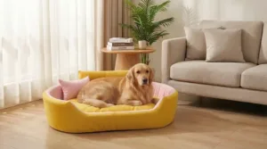 Bolster Orthopedic Dog Bed, dog bed, premium dog bed, orthopedic dog bed, soft dog bed, pet bed for dogs, comfortable dog bed, washable dog bed, dog bed with cushion, premium orthopedic dog bed for large dogs, soft and comfortable dog bed with cushion, durable dog bed with PU foam support, luxury pet bed for small and medium dogs, breathable dog bed for summer and winter, stylish modern dog bed for home, lightweight dog bed easy to carry, dog bed with bone shape pillow, buy dog bed online India, best dog bed for home use, affordable premium dog bed, high quality pet bed India, dog bed under budget, cozy dog bed, luxury pet comfort bed, soft plush dog bed, designer dog bed, pet sleeping bed, dog sofa bed, dog lounger bed, pet sofa bed, round dog bed, donut dog bed, calming dog bed, anti anxiety dog bed, raised edge dog bed, bolster dog bed, dog bed with side support, dog bed with high walls, puppy bed, small dog bed, medium dog bed, large dog bed, extra large dog bed, indoor dog bed, home pet bed, dog sleeping cushion, thick padded dog bed, fluffy dog bed, soft foam dog bed, PU foam dog bed, fiber filled dog bed, eco friendly dog bed, skin friendly dog bed, hypoallergenic dog bed, non toxic pet bed, durable pet bedding, long lasting dog bed, tear resistant dog bed, chew resistant dog bed, easy to clean dog bed, machine washable pet bed, removable cover dog bed, portable dog bed, travel dog bed, foldable dog bed, lightweight pet bed, luxury dog sofa, premium pet mattress, designer pet furniture, modern pet bed, aesthetic dog bed, comfortable pet mattress, pet relaxation bed, cozy pet nest, warm dog bed for winter, cool breathable dog bed for summer, all season dog bed, anti slip base dog bed, waterproof dog bed, indoor luxury pet bed, dog bed for crate, dog bed for living room, pet accessories dog bed, best selling dog bed, trending pet products, affordable pet bedding India, online pet supplies India