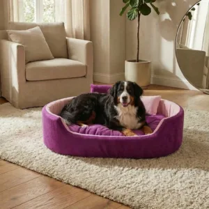 Bolster Orthopedic Dog Bed, dog bed, premium dog bed, orthopedic dog bed, soft dog bed, pet bed for dogs, comfortable dog bed, washable dog bed, dog bed with cushion, premium orthopedic dog bed for large dogs, soft and comfortable dog bed with cushion, durable dog bed with PU foam support, luxury pet bed for small and medium dogs, breathable dog bed for summer and winter, stylish modern dog bed for home, lightweight dog bed easy to carry, dog bed with bone shape pillow, buy dog bed online India, best dog bed for home use, affordable premium dog bed, high quality pet bed India, dog bed under budget, cozy dog bed, luxury pet comfort bed, soft plush dog bed, designer dog bed, pet sleeping bed, dog sofa bed, dog lounger bed, pet sofa bed, round dog bed, donut dog bed, calming dog bed, anti anxiety dog bed, raised edge dog bed, bolster dog bed, dog bed with side support, dog bed with high walls, puppy bed, small dog bed, medium dog bed, large dog bed, extra large dog bed, indoor dog bed, home pet bed, dog sleeping cushion, thick padded dog bed, fluffy dog bed, soft foam dog bed, PU foam dog bed, fiber filled dog bed, eco friendly dog bed, skin friendly dog bed, hypoallergenic dog bed, non toxic pet bed, durable pet bedding, long lasting dog bed, tear resistant dog bed, chew resistant dog bed, easy to clean dog bed, machine washable pet bed, removable cover dog bed, portable dog bed, travel dog bed, foldable dog bed, lightweight pet bed, luxury dog sofa, premium pet mattress, designer pet furniture, modern pet bed, aesthetic dog bed, comfortable pet mattress, pet relaxation bed, cozy pet nest, warm dog bed for winter, cool breathable dog bed for summer, all season dog bed, anti slip base dog bed, waterproof dog bed, indoor luxury pet bed, dog bed for crate, dog bed for living room, pet accessories dog bed, best selling dog bed, trending pet products, affordable pet bedding India, online pet supplies India