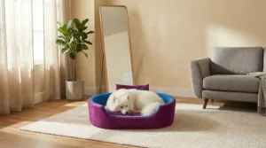 Bolster Orthopedic Dog Bed, dog bed, premium dog bed, orthopedic dog bed, soft dog bed, pet bed for dogs, comfortable dog bed, washable dog bed, dog bed with cushion, premium orthopedic dog bed for large dogs, soft and comfortable dog bed with cushion, durable dog bed with PU foam support, luxury pet bed for small and medium dogs, breathable dog bed for summer and winter, stylish modern dog bed for home, lightweight dog bed easy to carry, dog bed with bone shape pillow, buy dog bed online India, best dog bed for home use, affordable premium dog bed, high quality pet bed India, dog bed under budget, cozy dog bed, luxury pet comfort bed, soft plush dog bed, designer dog bed, pet sleeping bed, dog sofa bed, dog lounger bed, pet sofa bed, round dog bed, donut dog bed, calming dog bed, anti anxiety dog bed, raised edge dog bed, bolster dog bed, dog bed with side support, dog bed with high walls, puppy bed, small dog bed, medium dog bed, large dog bed, extra large dog bed, indoor dog bed, home pet bed, dog sleeping cushion, thick padded dog bed, fluffy dog bed, soft foam dog bed, PU foam dog bed, fiber filled dog bed, eco friendly dog bed, skin friendly dog bed, hypoallergenic dog bed, non toxic pet bed, durable pet bedding, long lasting dog bed, tear resistant dog bed, chew resistant dog bed, easy to clean dog bed, machine washable pet bed, removable cover dog bed, portable dog bed, travel dog bed, foldable dog bed, lightweight pet bed, luxury dog sofa, premium pet mattress, designer pet furniture, modern pet bed, aesthetic dog bed, comfortable pet mattress, pet relaxation bed, cozy pet nest, warm dog bed for winter, cool breathable dog bed for summer, all season dog bed, anti slip base dog bed, waterproof dog bed, indoor luxury pet bed, dog bed for crate, dog bed for living room, pet accessories dog bed, best selling dog bed, trending pet products, affordable pet bedding India, online pet supplies India