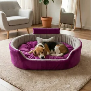 Bolster Orthopedic Dog Bed, dog bed, premium dog bed, orthopedic dog bed, soft dog bed, pet bed for dogs, comfortable dog bed, washable dog bed, dog bed with cushion, premium orthopedic dog bed for large dogs, soft and comfortable dog bed with cushion, durable dog bed with PU foam support, luxury pet bed for small and medium dogs, breathable dog bed for summer and winter, stylish modern dog bed for home, lightweight dog bed easy to carry, dog bed with bone shape pillow, buy dog bed online India, best dog bed for home use, affordable premium dog bed, high quality pet bed India, dog bed under budget, cozy dog bed, luxury pet comfort bed, soft plush dog bed, designer dog bed, pet sleeping bed, dog sofa bed, dog lounger bed, pet sofa bed, round dog bed, donut dog bed, calming dog bed, anti anxiety dog bed, raised edge dog bed, bolster dog bed, dog bed with side support, dog bed with high walls, puppy bed, small dog bed, medium dog bed, large dog bed, extra large dog bed, indoor dog bed, home pet bed, dog sleeping cushion, thick padded dog bed, fluffy dog bed, soft foam dog bed, PU foam dog bed, fiber filled dog bed, eco friendly dog bed, skin friendly dog bed, hypoallergenic dog bed, non toxic pet bed, durable pet bedding, long lasting dog bed, tear resistant dog bed, chew resistant dog bed, easy to clean dog bed, machine washable pet bed, removable cover dog bed, portable dog bed, travel dog bed, foldable dog bed, lightweight pet bed, luxury dog sofa, premium pet mattress, designer pet furniture, modern pet bed, aesthetic dog bed, comfortable pet mattress, pet relaxation bed, cozy pet nest, warm dog bed for winter, cool breathable dog bed for summer, all season dog bed, anti slip base dog bed, waterproof dog bed, indoor luxury pet bed, dog bed for crate, dog bed for living room, pet accessories dog bed, best selling dog bed, trending pet products, affordable pet bedding India, online pet supplies India
