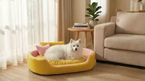 Bolster Orthopedic Dog Bed, dog bed, premium dog bed, orthopedic dog bed, soft dog bed, pet bed for dogs, comfortable dog bed, washable dog bed, dog bed with cushion, premium orthopedic dog bed for large dogs, soft and comfortable dog bed with cushion, durable dog bed with PU foam support, luxury pet bed for small and medium dogs, breathable dog bed for summer and winter, stylish modern dog bed for home, lightweight dog bed easy to carry, dog bed with bone shape pillow, buy dog bed online India, best dog bed for home use, affordable premium dog bed, high quality pet bed India, dog bed under budget, cozy dog bed, luxury pet comfort bed, soft plush dog bed, designer dog bed, pet sleeping bed, dog sofa bed, dog lounger bed, pet sofa bed, round dog bed, donut dog bed, calming dog bed, anti anxiety dog bed, raised edge dog bed, bolster dog bed, dog bed with side support, dog bed with high walls, puppy bed, small dog bed, medium dog bed, large dog bed, extra large dog bed, indoor dog bed, home pet bed, dog sleeping cushion, thick padded dog bed, fluffy dog bed, soft foam dog bed, PU foam dog bed, fiber filled dog bed, eco friendly dog bed, skin friendly dog bed, hypoallergenic dog bed, non toxic pet bed, durable pet bedding, long lasting dog bed, tear resistant dog bed, chew resistant dog bed, easy to clean dog bed, machine washable pet bed, removable cover dog bed, portable dog bed, travel dog bed, foldable dog bed, lightweight pet bed, luxury dog sofa, premium pet mattress, designer pet furniture, modern pet bed, aesthetic dog bed, comfortable pet mattress, pet relaxation bed, cozy pet nest, warm dog bed for winter, cool breathable dog bed for summer, all season dog bed, anti slip base dog bed, waterproof dog bed, indoor luxury pet bed, dog bed for crate, dog bed for living room, pet accessories dog bed, best selling dog bed, trending pet products, affordable pet bedding India, online pet supplies India