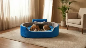 Bolster Orthopedic Dog Bed, dog bed, premium dog bed, orthopedic dog bed, soft dog bed, pet bed for dogs, comfortable dog bed, washable dog bed, dog bed with cushion, premium orthopedic dog bed for large dogs, soft and comfortable dog bed with cushion, durable dog bed with PU foam support, luxury pet bed for small and medium dogs, breathable dog bed for summer and winter, stylish modern dog bed for home, lightweight dog bed easy to carry, dog bed with bone shape pillow, buy dog bed online India, best dog bed for home use, affordable premium dog bed, high quality pet bed India, dog bed under budget, cozy dog bed, luxury pet comfort bed, soft plush dog bed, designer dog bed, pet sleeping bed, dog sofa bed, dog lounger bed, pet sofa bed, round dog bed, donut dog bed, calming dog bed, anti anxiety dog bed, raised edge dog bed, bolster dog bed, dog bed with side support, dog bed with high walls, puppy bed, small dog bed, medium dog bed, large dog bed, extra large dog bed, indoor dog bed, home pet bed, dog sleeping cushion, thick padded dog bed, fluffy dog bed, soft foam dog bed, PU foam dog bed, fiber filled dog bed, eco friendly dog bed, skin friendly dog bed, hypoallergenic dog bed, non toxic pet bed, durable pet bedding, long lasting dog bed, tear resistant dog bed, chew resistant dog bed, easy to clean dog bed, machine washable pet bed, removable cover dog bed, portable dog bed, travel dog bed, foldable dog bed, lightweight pet bed, luxury dog sofa, premium pet mattress, designer pet furniture, modern pet bed, aesthetic dog bed, comfortable pet mattress, pet relaxation bed, cozy pet nest, warm dog bed for winter, cool breathable dog bed for summer, all season dog bed, anti slip base dog bed, waterproof dog bed, indoor luxury pet bed, dog bed for crate, dog bed for living room, pet accessories dog bed, best selling dog bed, trending pet products, affordable pet bedding India, online pet supplies India