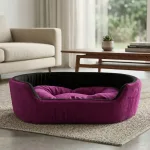 dog bed, premium dog bed, orthopedic dog bed, soft dog bed, pet bed for dogs, comfortable dog bed, washable dog bed, dog bed with cushion, premium orthopedic dog bed for large dogs, soft and comfortable dog bed with cushion, durable dog bed with PU foam support, luxury pet bed for small and medium dogs, breathable dog bed for summer and winter, stylish modern dog bed for home, lightweight dog bed easy to carry, dog bed with bone shape pillow, buy dog bed online India, best dog bed for home use, affordable premium dog bed, high quality pet bed India, dog bed under budget, cozy dog bed, luxury pet comfort bed, soft plush dog bed, designer dog bed, pet sleeping bed, dog sofa bed, dog lounger bed, pet sofa bed, round dog bed, donut dog bed, calming dog bed, anti anxiety dog bed, raised edge dog bed, bolster dog bed, dog bed with side support, dog bed with high walls, puppy bed, small dog bed, medium dog bed, large dog bed, extra large dog bed, indoor dog bed, home pet bed, dog sleeping cushion, thick padded dog bed, fluffy dog bed, soft foam dog bed, PU foam dog bed, fiber filled dog bed, eco friendly dog bed, skin friendly dog bed, hypoallergenic dog bed, non toxic pet bed, durable pet bedding, long lasting dog bed, tear resistant dog bed, chew resistant dog bed, easy to clean dog bed, machine washable pet bed, removable cover dog bed, portable dog bed, travel dog bed, foldable dog bed, lightweight pet bed, luxury dog sofa, premium pet mattress, designer pet furniture, modern pet bed, aesthetic dog bed, comfortable pet mattress, pet relaxation bed, cozy pet nest, warm dog bed for winter, cool breathable dog bed for summer, all season dog bed, anti slip base dog bed, waterproof dog bed, indoor luxury pet bed, dog bed for crate, dog bed for living room, pet accessories dog bed, best selling dog bed, trending pet products, affordable pet bedding India, online pet supplies India